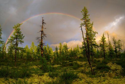 Between Showers