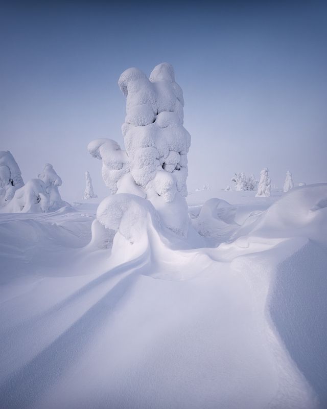 Застывшее безмолвиеphoto preview