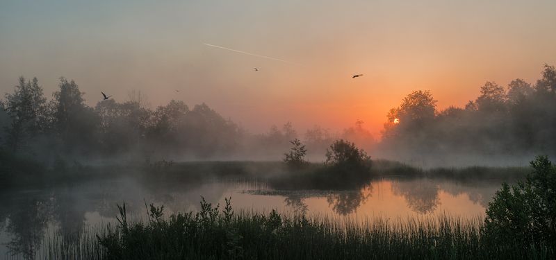 Утро чаекphoto preview