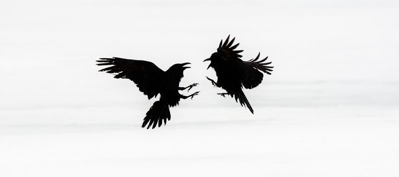 кляксыphoto preview