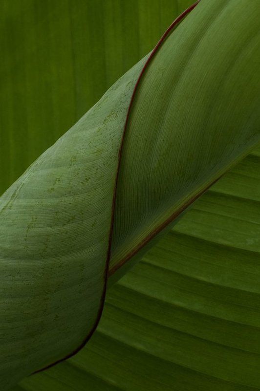 untitled#**photo preview