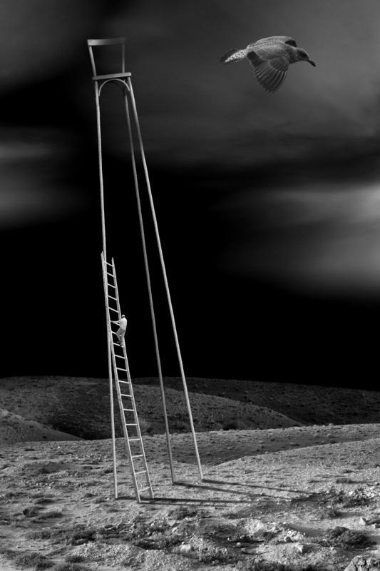 Полет над гнездом кукушкиphoto preview