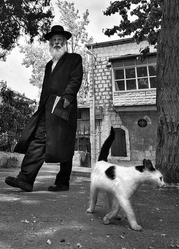 Кот. Человек.