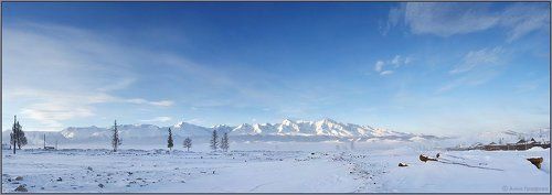 Морозное утро Курайской степи