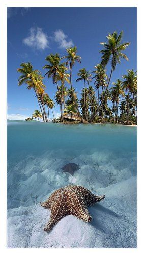 На половину ...