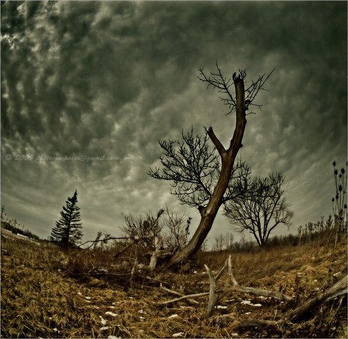 A border between seasons