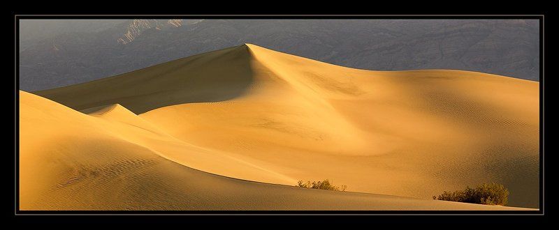 Golden Dunesphoto preview