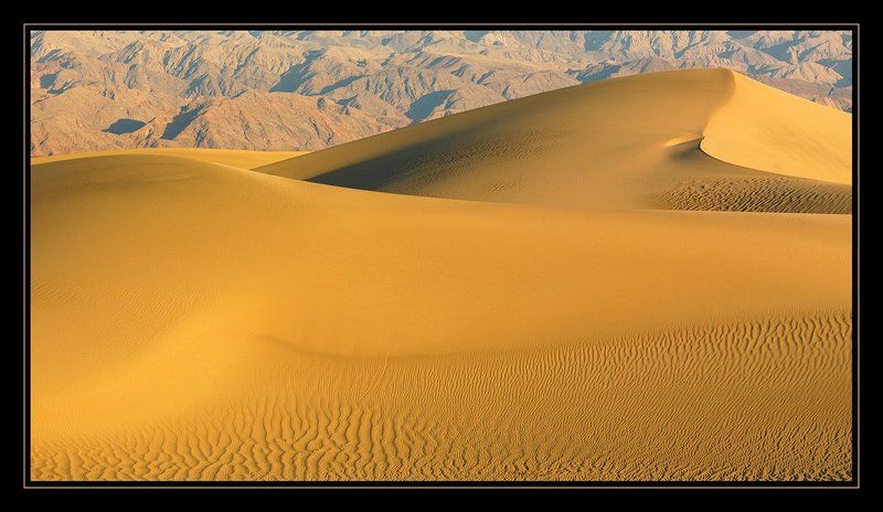 Golden Dunesphoto preview