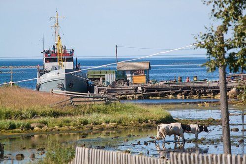 Беломорская пастораль