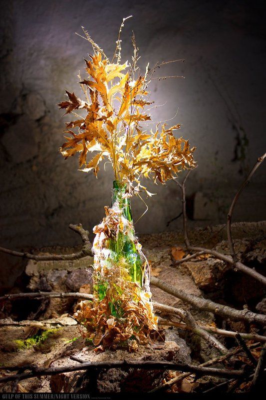 Gulp of this summer/NVphoto preview