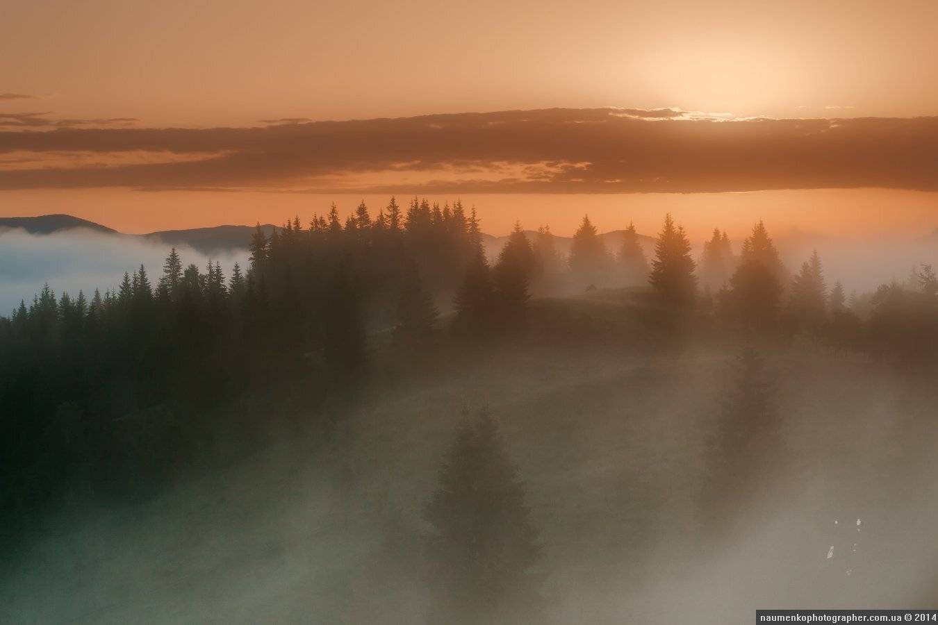Дземброня. Утренний туман-5. Автор: Александр карпаты, пейзаж, рассвет, туман, туманное утро, украина, утро, дземброня, Александр