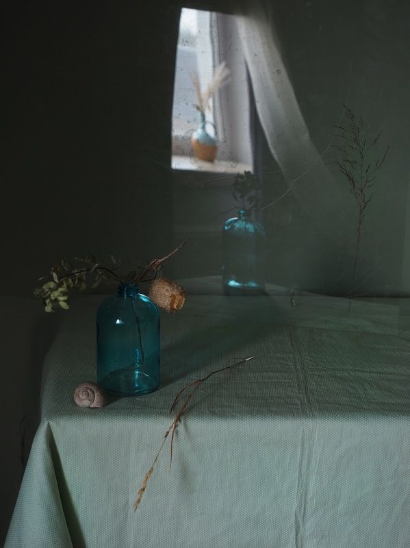 Никого не будет в  Зимний день в сквозном проеме Незадернутых гардин.photo preview