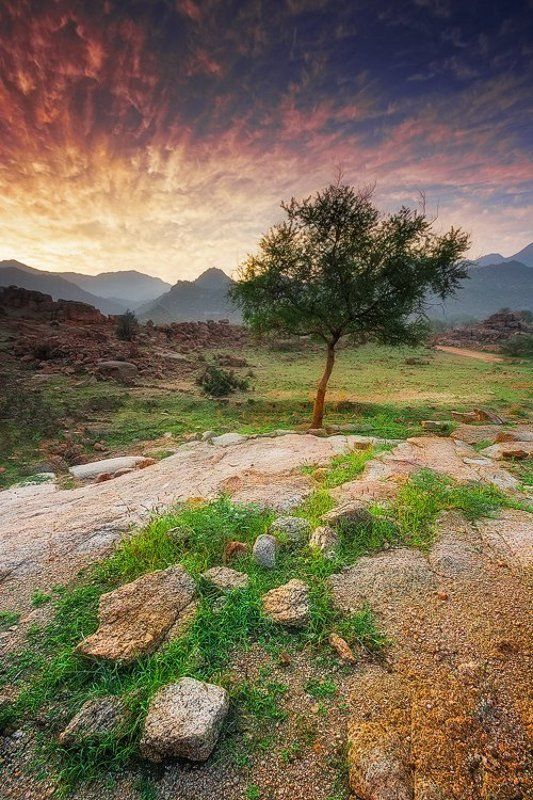 Beautiful Morningphoto preview