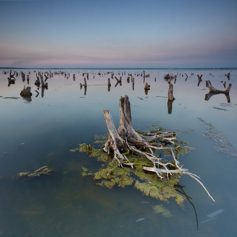 В гости к Водяномуphoto preview
