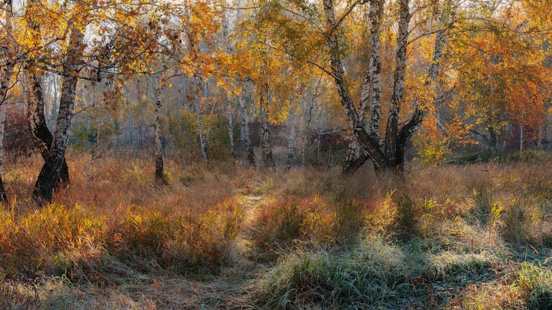 Осенний танецphoto preview