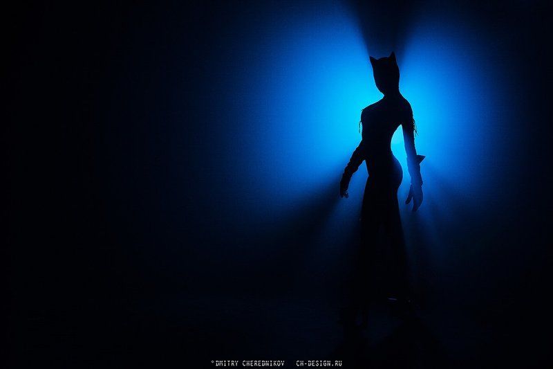 Catwoman, Женщина, Кошка Catwomanphoto preview