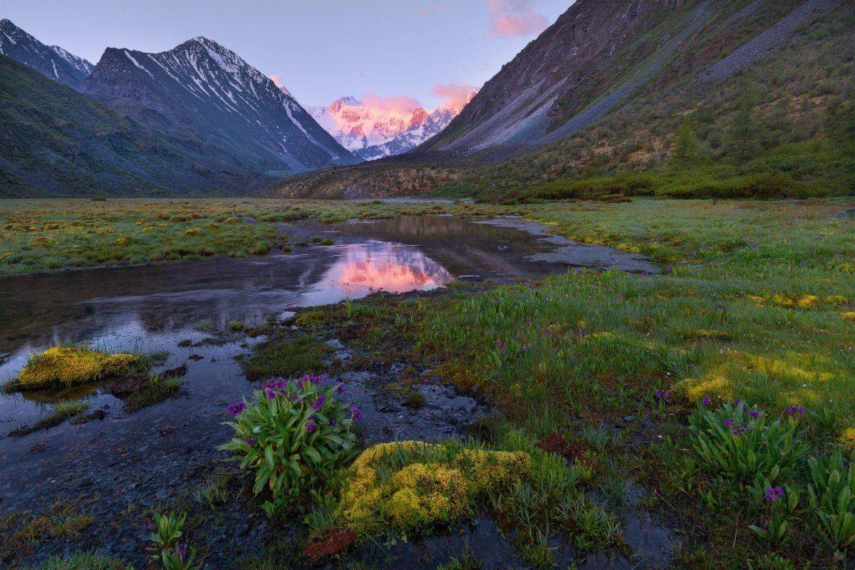 , Жмак Евгений