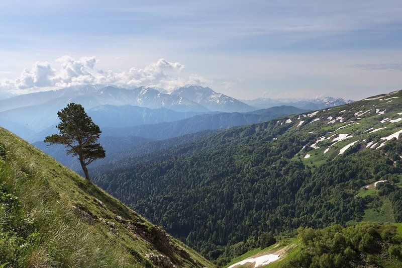 Утроphoto preview