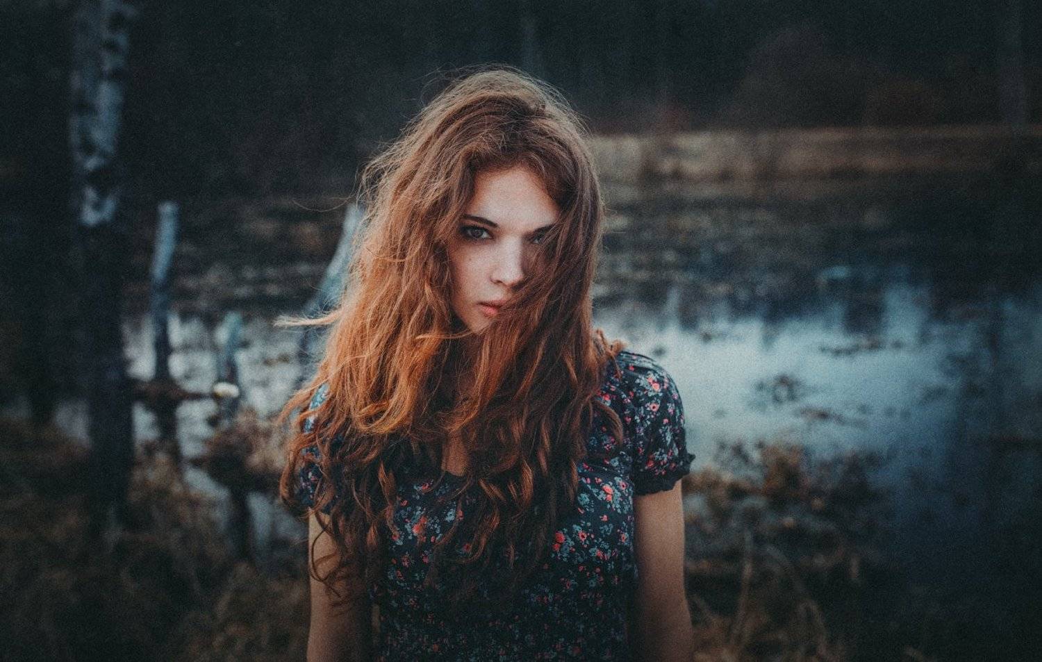 Автор: Машненко Максим , Машненко Максим