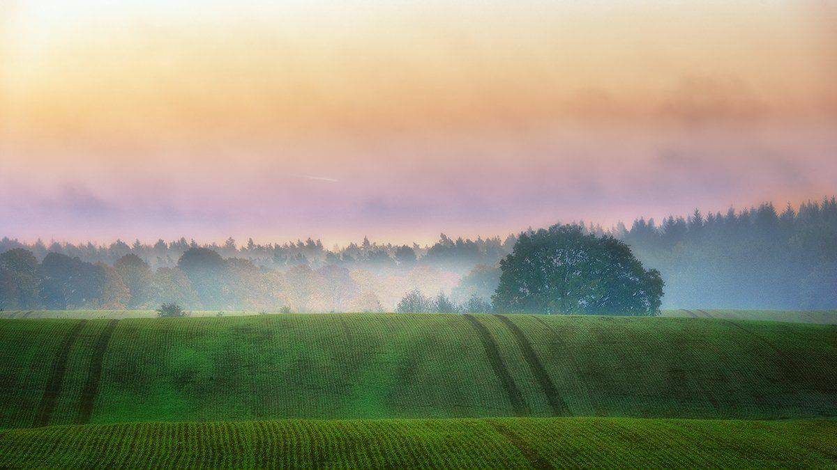***. Автор: Wojtek Kapuściński , Wojtek Kapuściński