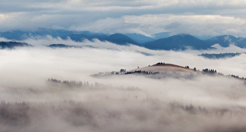 карпаты, украина, горы, туман, утро, рассвет ...Туманные берега...photo preview