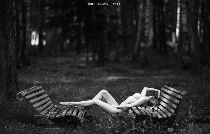 Garden benchesphoto preview