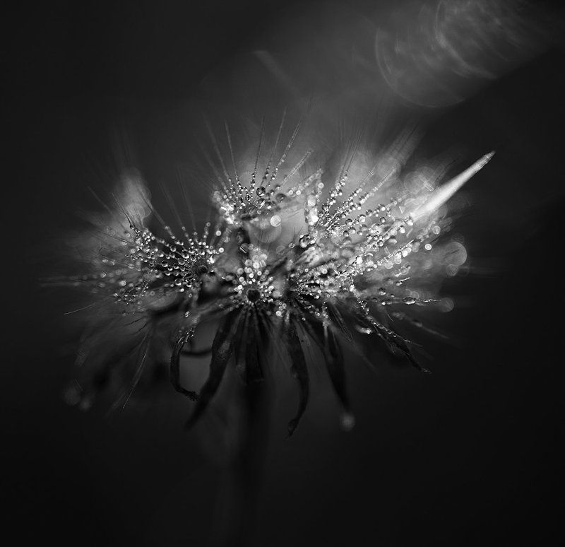 гелиос Meditationphoto preview