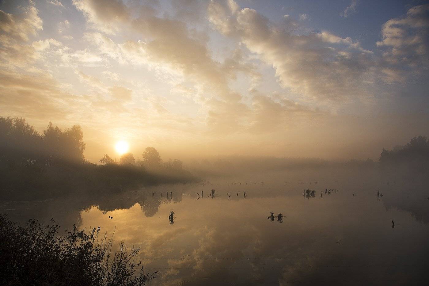 Утро в деревне. Автор: Лобачева Елена , Лобачева Елена