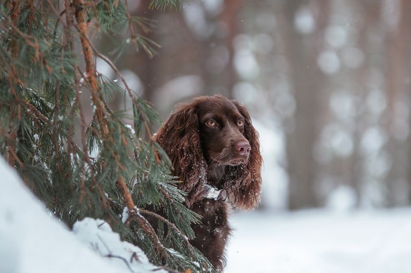 Айтиphoto preview