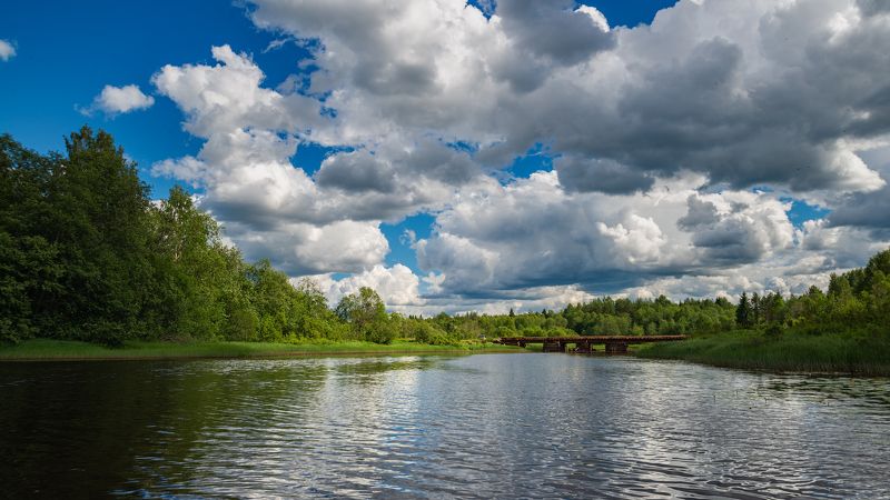 Июнь.photo preview