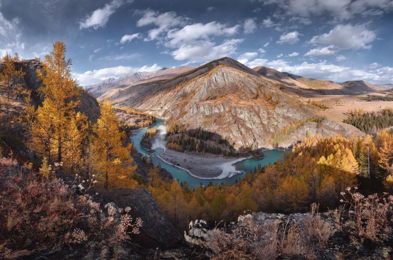 Аргут, Алтай, осень ***photo preview