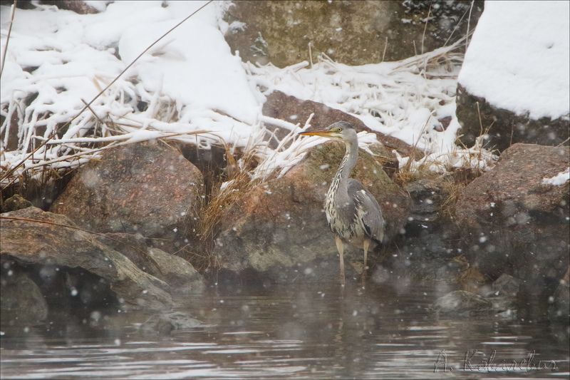 Маскировкаphoto preview