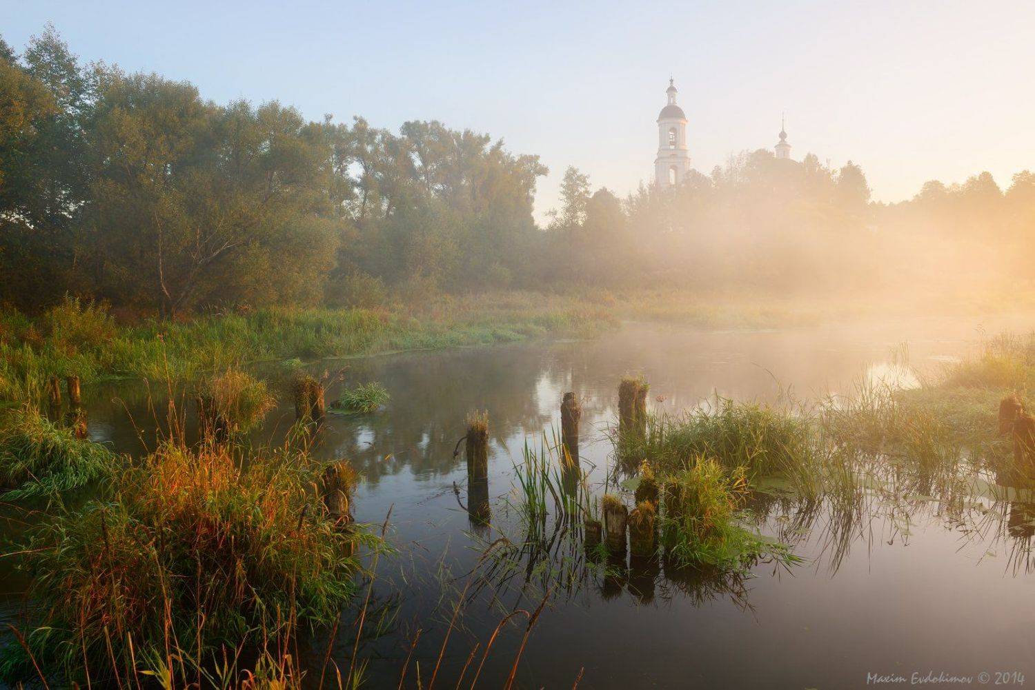 , Максим Евдокимов