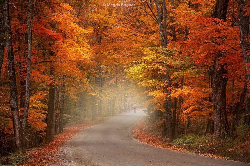 Autumn Walkphoto preview