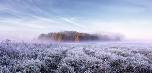 Седое утро октября