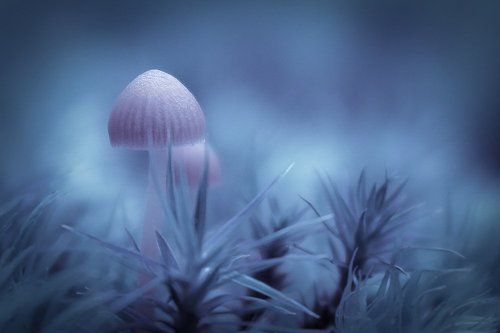 A small world