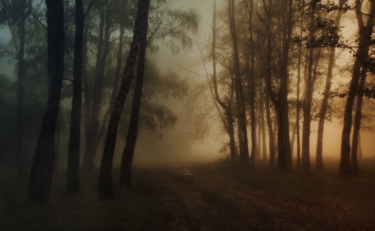 ***. Автор: Михаил Пилипенко , Михаил Пилипенко