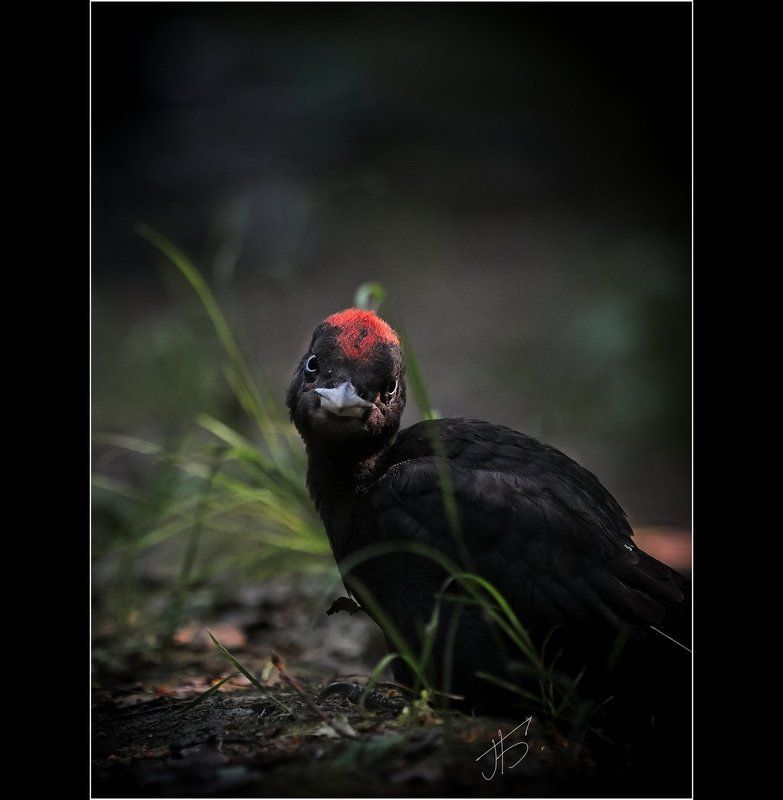 вот и лету конец......photo preview