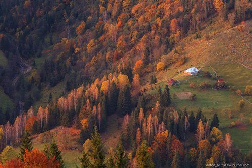 Дом на краю осени