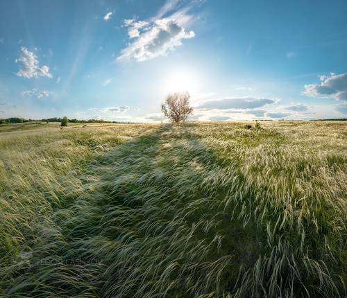 Новый день!