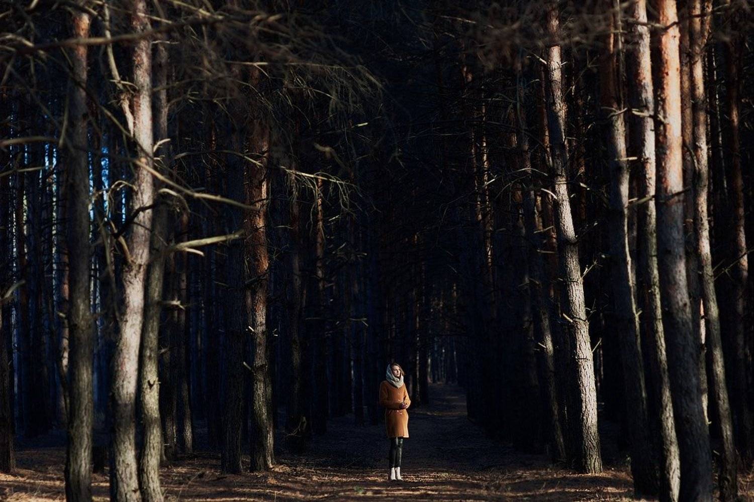 550D, 85 1.8, Canon, Canon 550D, Девушка, Лес, Осень, Свет, Солнце, Сосны, Тень, Меркулов Антон