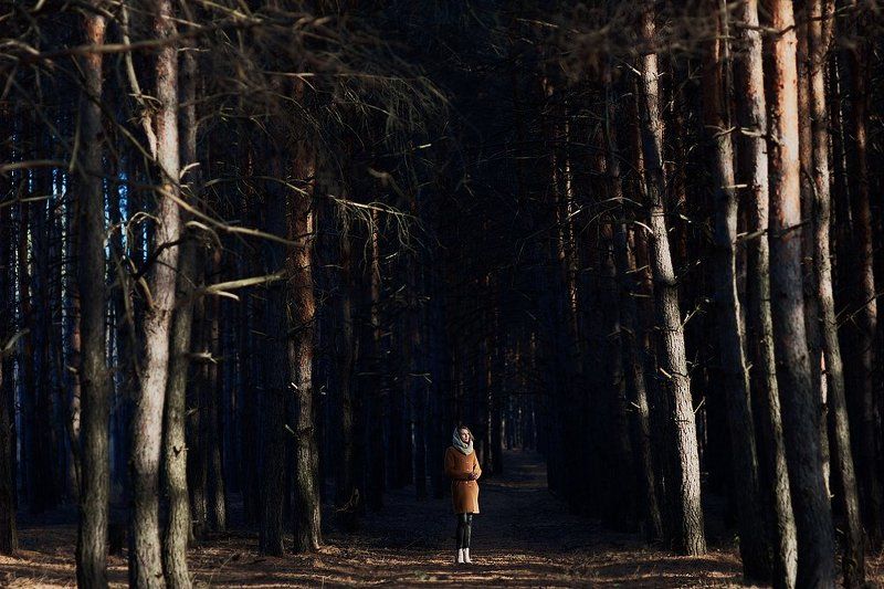 550D, 85 1.8, Canon, Canon 550D, Девушка, Лес, Осень, Свет, Солнце, Сосны, Тень ***photo preview