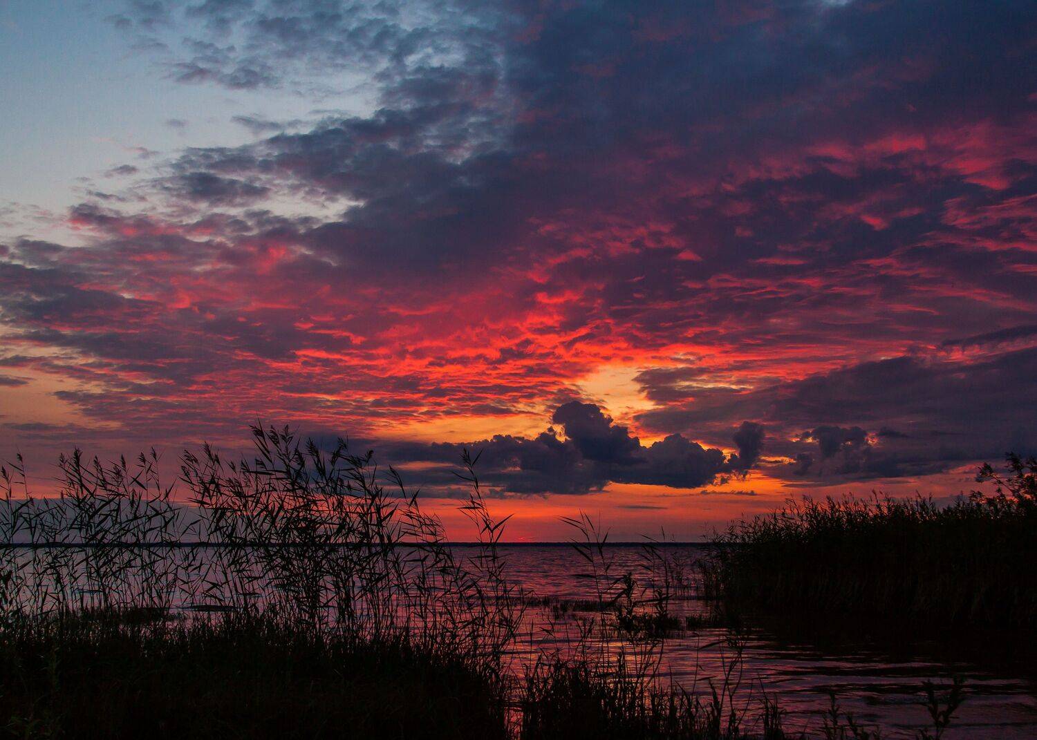 , Сагдиева Эльвира