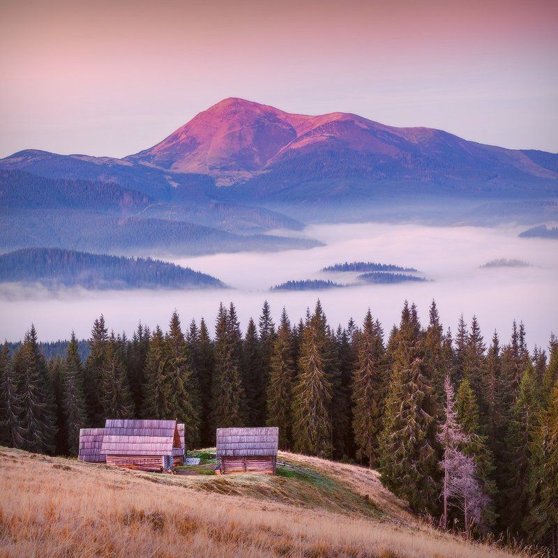 Десь у Карпатахphoto preview