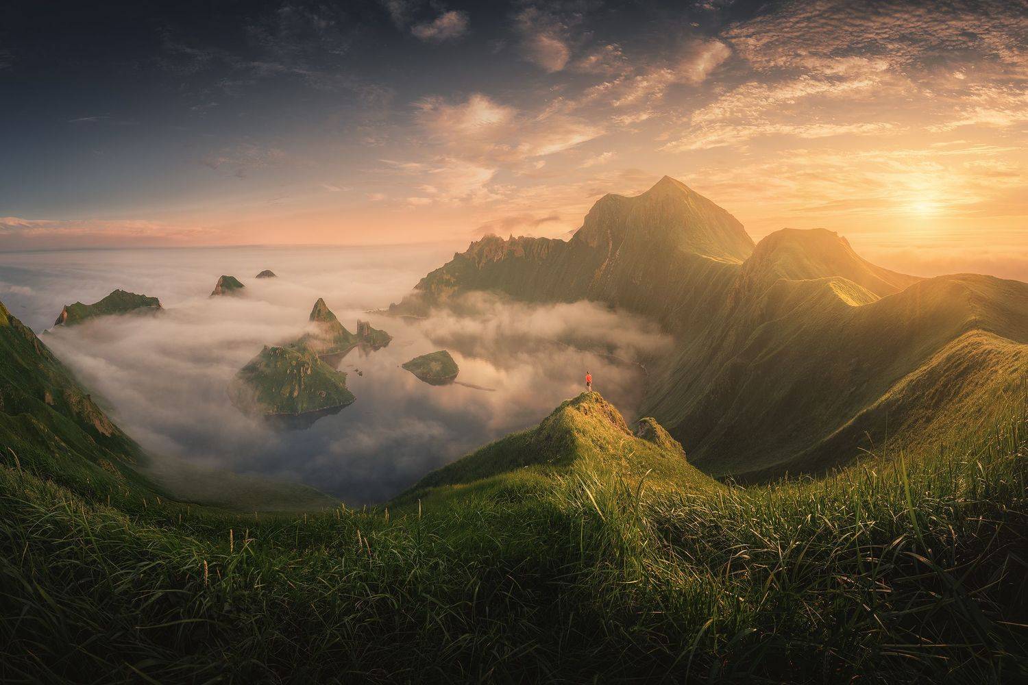 , Анна Политова