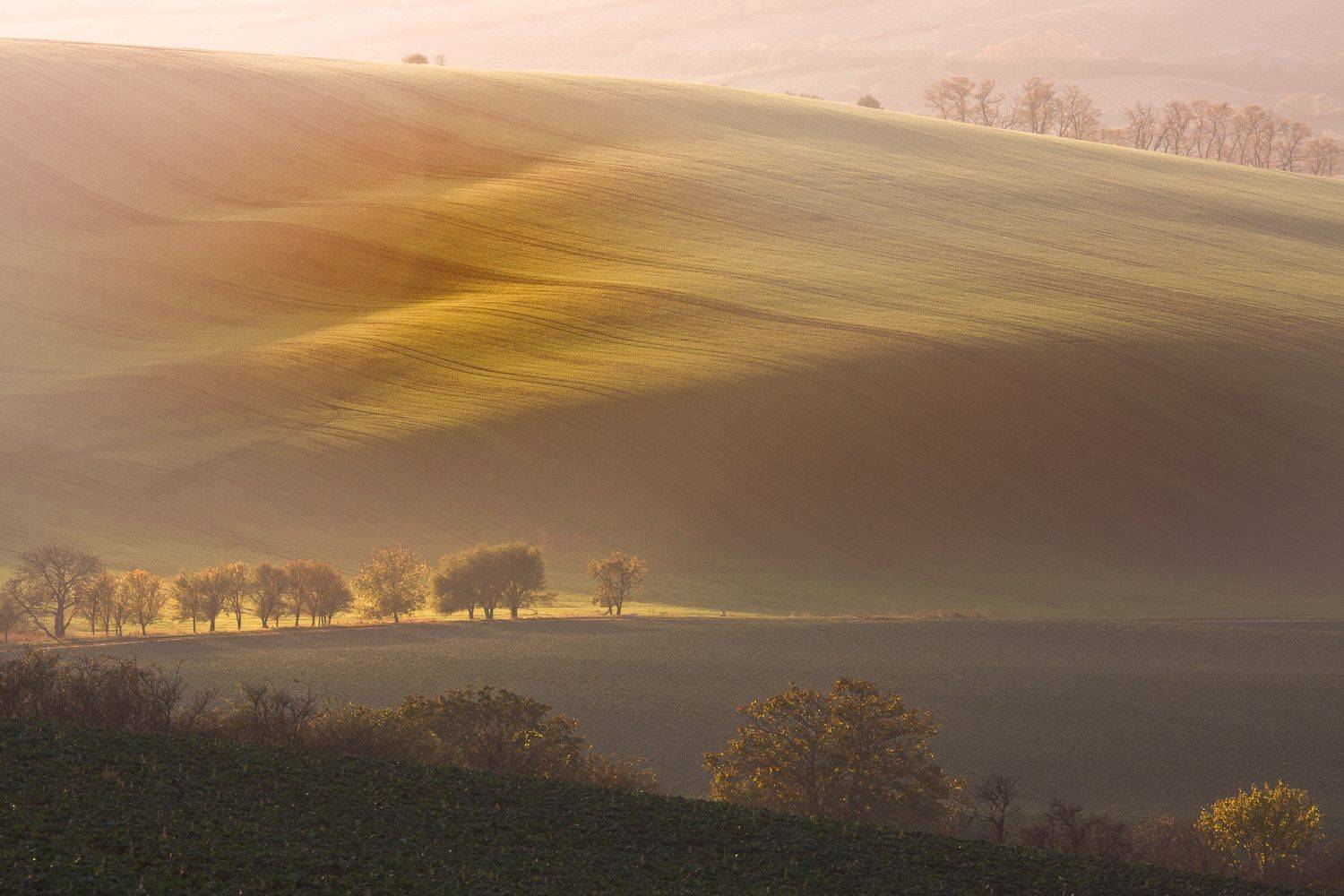 Moravian Tuscany, Spundiņ&scaron; Vilnis