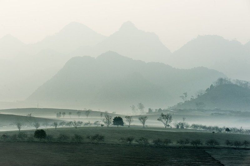 Moc Chau - Viet Namphoto preview