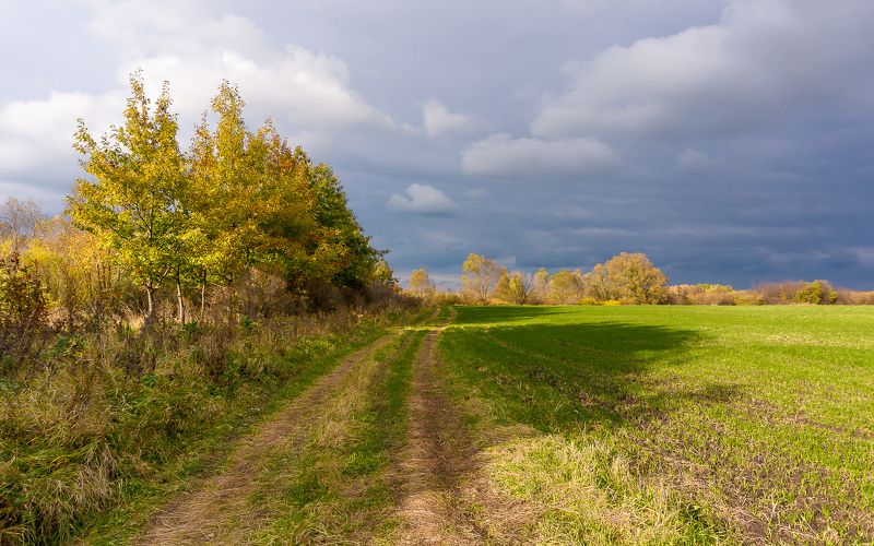 Осеньphoto preview