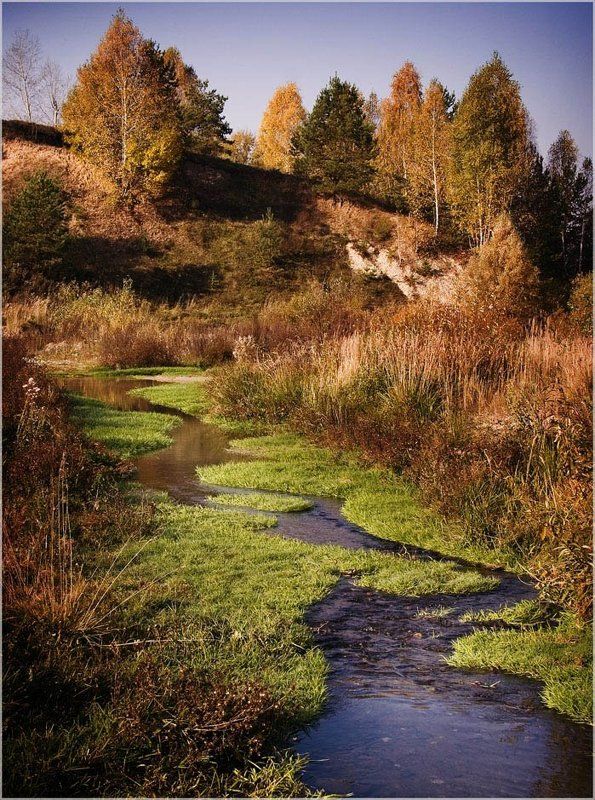 Ручеёкphoto preview