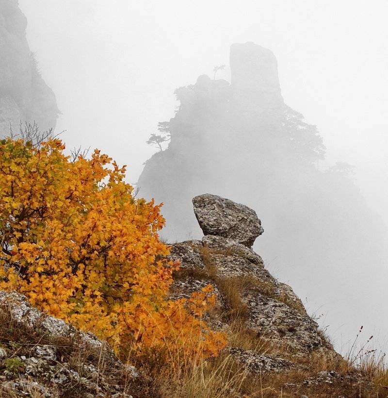 Автор: Андрей Золочевский , Андрей Золочевский